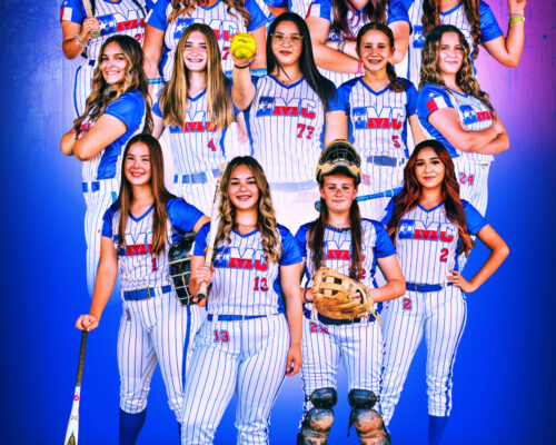 EMCsoftball